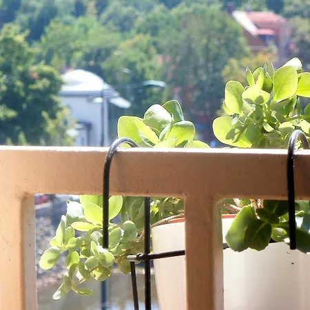 Appartement Bascarsija Live